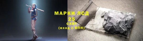 сатива Армянск