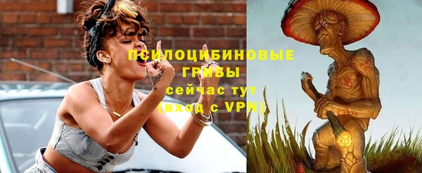 спиды Аркадак